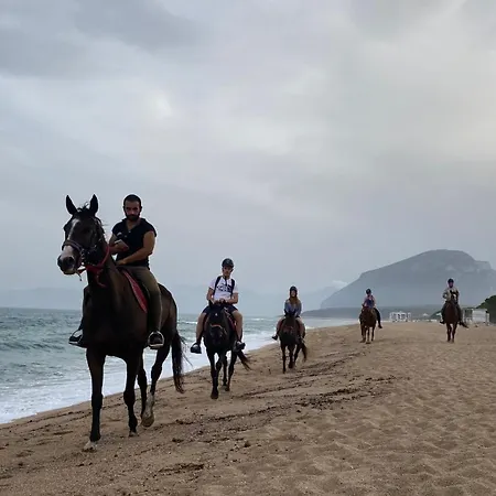 Hébergement de vacances Costa Est Cala Liberotto