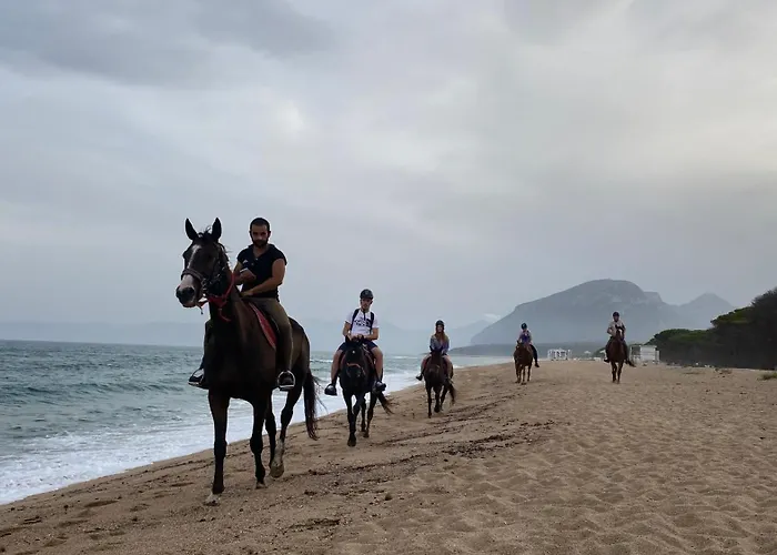 Holiday home Costa Est Cala Liberotto